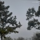 강나루캠핑야영장 이미지