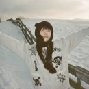 루다목장 이미지