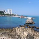 기장바다수산 이미지