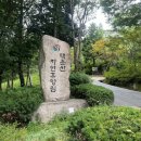 느티나무 | 부산근교여행 / 양산 가족여행 :: 대운산자연휴양림 숲속의집 느티나무 숙박 후기