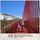 영월 관광지 젊은달와이파크 할인 인생샷 맛집