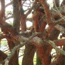 답곡리마을 이미지