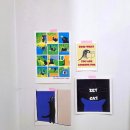 510 | 대전 감성 편집샵 펀집510 &amp; 뮤앤바우 후기💛 강아지·고양이 굿즈 덕후 필수 코스