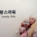 아토컷트 이미지