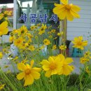 수 민박 이미지