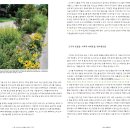 가이아의 정원 - 11.도시에서 퍼머컬쳐 정원가꾸기 이미지