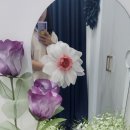 대구경북디자인기업협회 이미지
