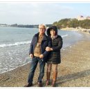정부대전청사 3동 주차장 Daum카페