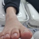 레푸스순천