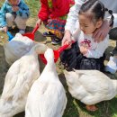 대한목장 | 충북 음성 자연목장 농장체험