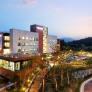 대정헬스케어 이미지