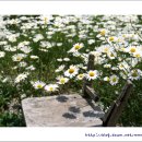 나절로미술관 이미지