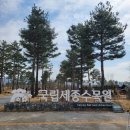 도피오커피 일산백병원점(이마트24) | 국립세종수목원 세종 아기랑