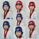 용인대 성서 태권도 이미지