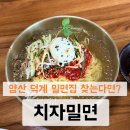 치자 | 양산 웅상 치자밀면 덕계점 내돈내먹 후기