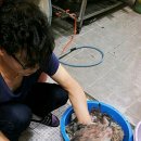 화진호이선장네 이미지