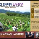 일석농장 이미지