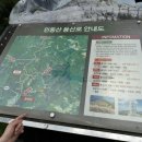 짱구네 닭갈비&삼겹살 | [정선여행] 민둥산역에서 등반, 거북이쉼터 후기, 트래킹 초보 추천