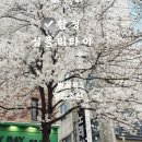 타이시즌 | 합정 데이트 맛집 벚꽃 시즌 필수 코스 심플리 타이 후기