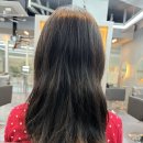 범계빌딩 | [안양] 범계 미용실 찾는다면 &#34;몽쉘살롱&#34; 후기✂️ 간식 센스 귀여워,,