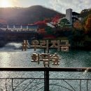 가을 숲으로 놀러가자 | 경기 화담숲 11월 지금 가을 단풍 명소 절정 시기 모노레일 이용 방법