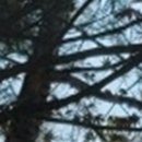 더위드치과의원 이미지