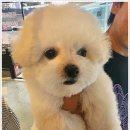 행복미니 이미지