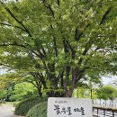 꽃우물공원 이미지