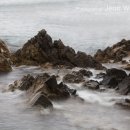 바다의향기 이미지