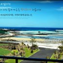 씨에코비치 이미지