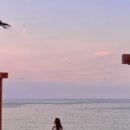 더 비치하우스 이미지