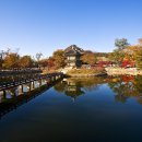 광산김씨문경공파추원재종중 | 우리나라 성씨 종류 이름 본관 지역 몇대손 무슨파인지 아는법