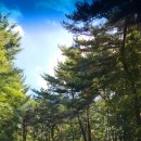 오마이랜드부산 이미지