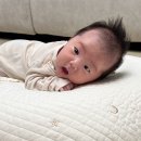 동두천시보건소 | 의정부/양주/동두천) 에스엠천사 산후도우미 신경숙 이모님 추천 🧡 경산모 찐 후기 ✨