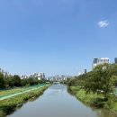 하늘마디재활의학과의원 이미지