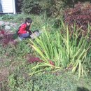 안산이농장 이미지