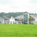 오벨리스크펜션 이미지