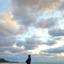 놀당스테이 | 찌망 여행 : [제주 놀당스테이 후기] 12월 협재 감성숙소 추천! 반려견 동반까지 가능한 독채 스테이🛩