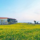 캠퍼트리 호텔 앤 리조트 이미지