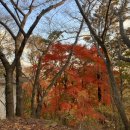 옛지산식당 이미지