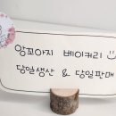 앙꼬아지 이미지