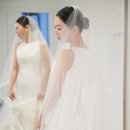 반호 - 세종특별자치시 한누리대로 1824 | 💝jy,jp W12. 반호스튜디오 본식 후기 #대구인터불고만촌결혼식