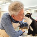 평산1로 이미지