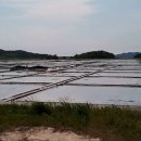 새부산식당 이미지