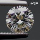 수앤주 이미지