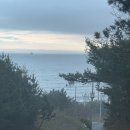 하나로마트 옥계농협본점 이미지