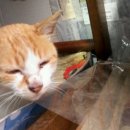 한정보건진료소 이미지