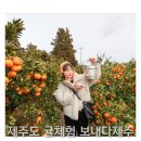토산농장 | 제주도 1월 서귀포 여행 감귤체험 추천 보내다제주