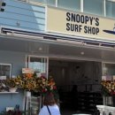 짱인형 SHOP 네이버블로그