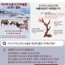 (주)써지메드 | 이지아이 녹용홍삼으로 아이 면역력을 UP UP